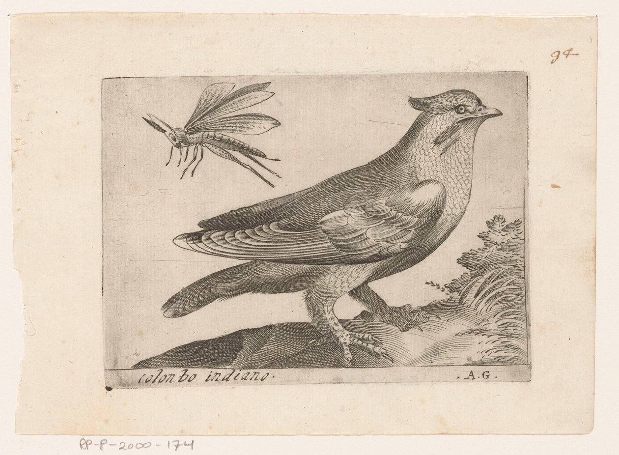 Pestvogel (Bombycilla garrulus) Colonbo indiano (titel på objekt) Vogels (serietitel) af Monogrammist AG