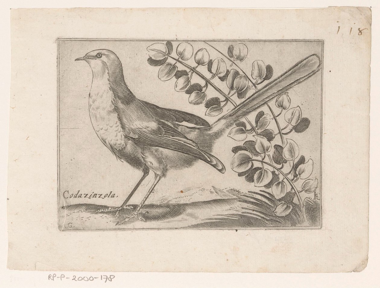 Vogel Codazinzola (titel på objekt) Vogels (serietitel) af Monogrammist AG