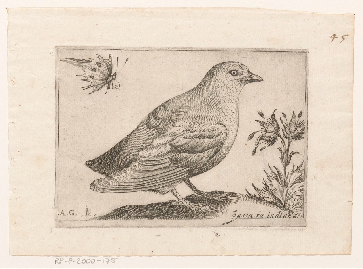 Vogel Passra Indiana (titel på objekt) Vogels (serietitel) af Monogrammist AG