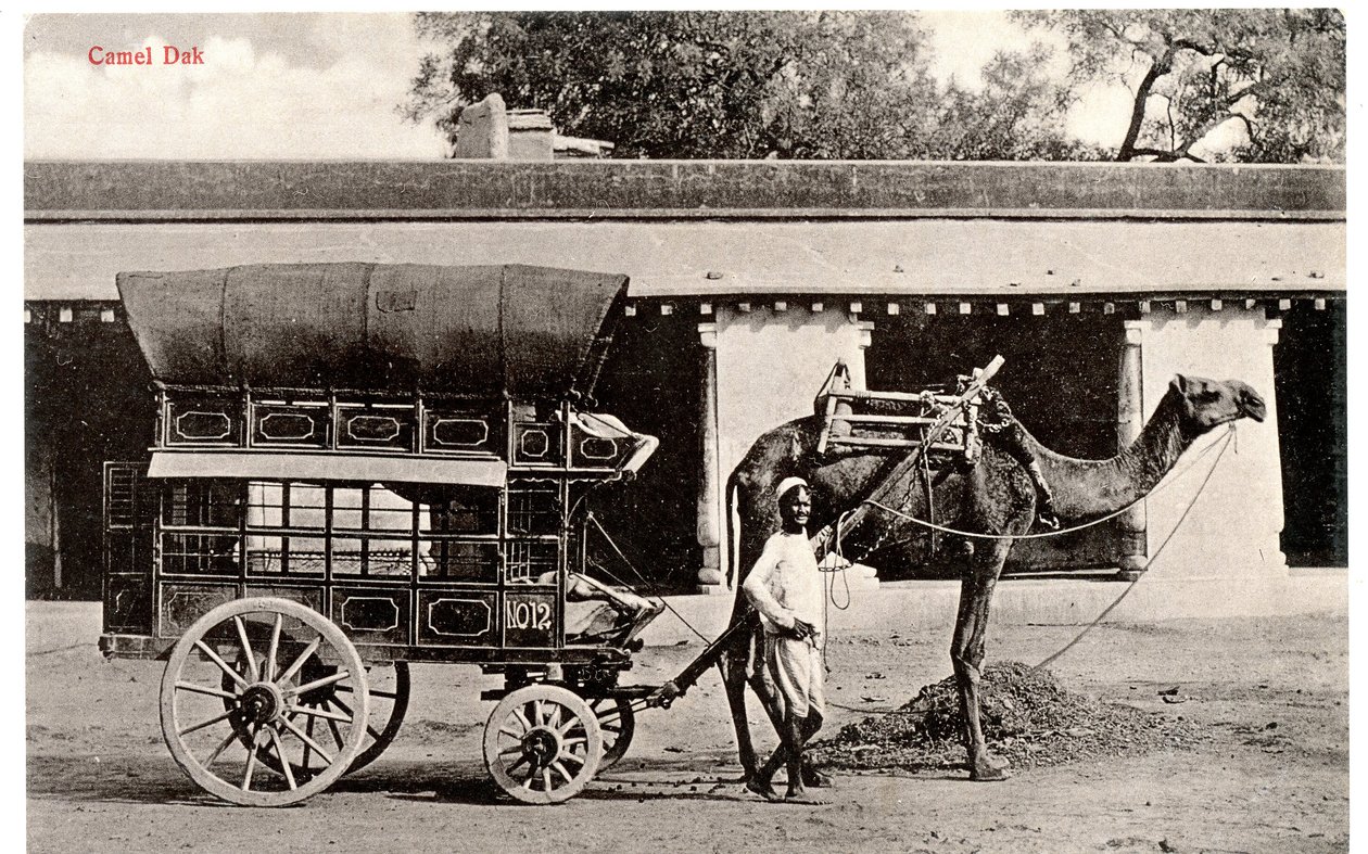 Camel Dak, ca. 1911-12 (sepia foto) af Moorli Dhur and Sons