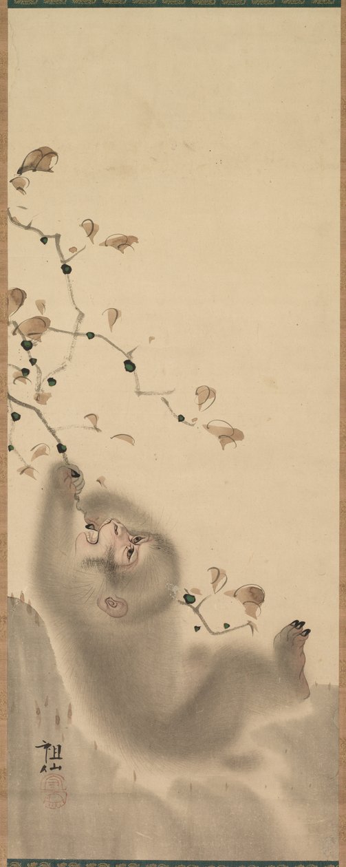 Abe hænger på en gren, 1780. af Mori Sosen
