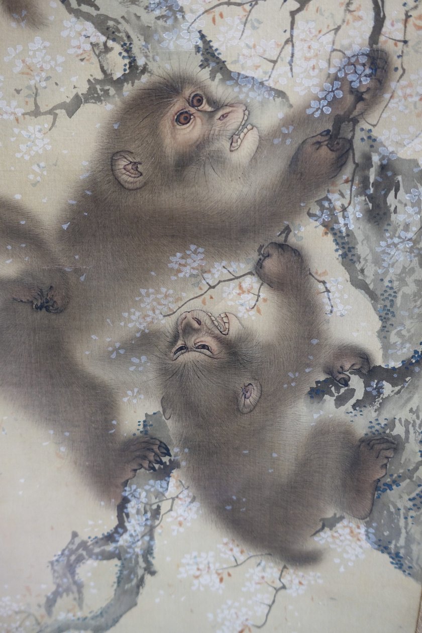 Aber i et blomstrende kirsebærtræ, 2 af 2, Mori Sosen, Japan, Edo-perioden, begyndelsen af 1800-tallet, blæk og farve på silke - Arthur M. Sackler Museum, Harvard University - DSC01128 af Mori Sosen