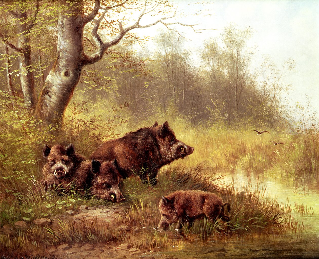 Vildsvin i Schwarzwald, 1880 af Moritz Muller