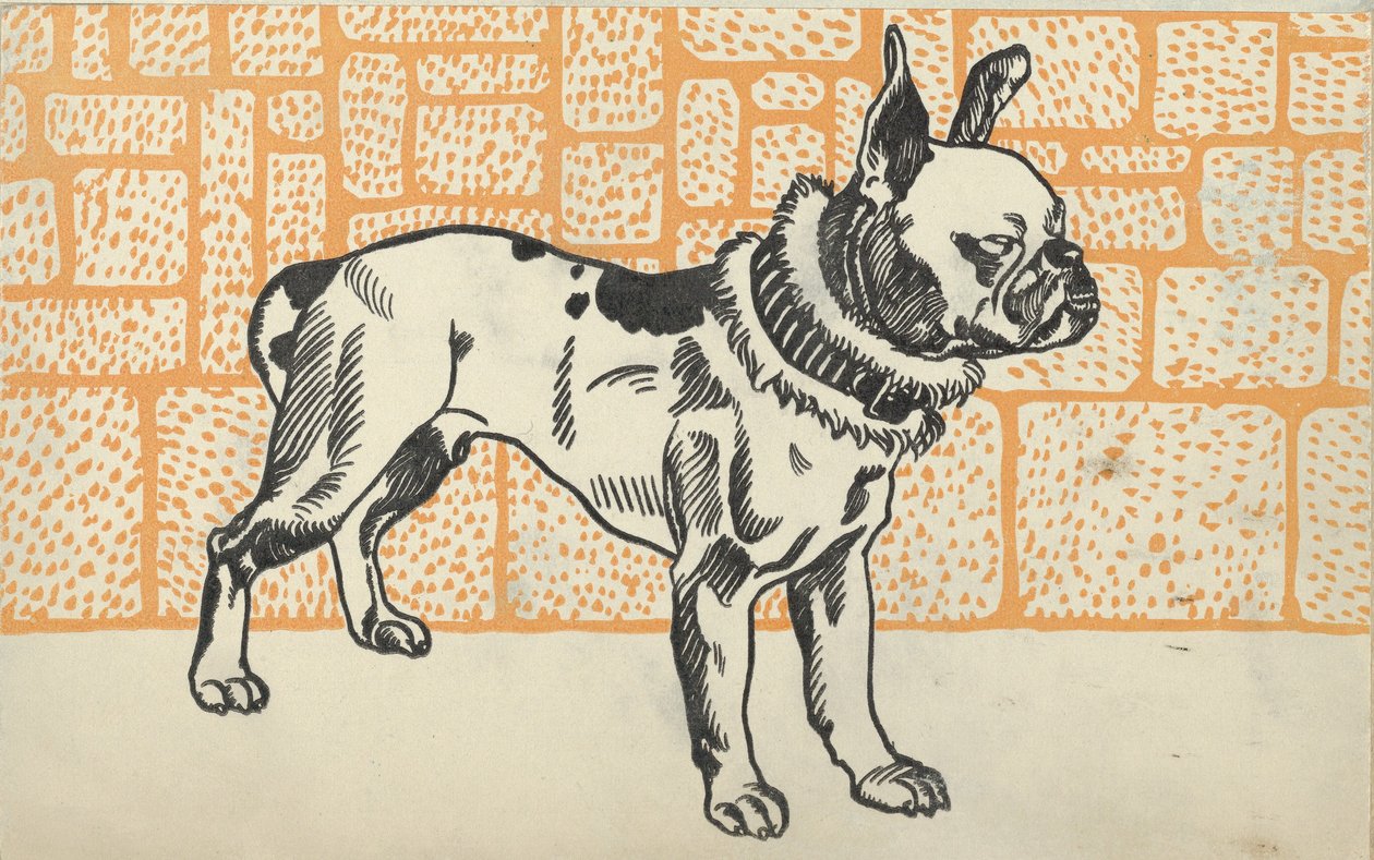 Pitbull Terrier, 1912. af Moritz Jung