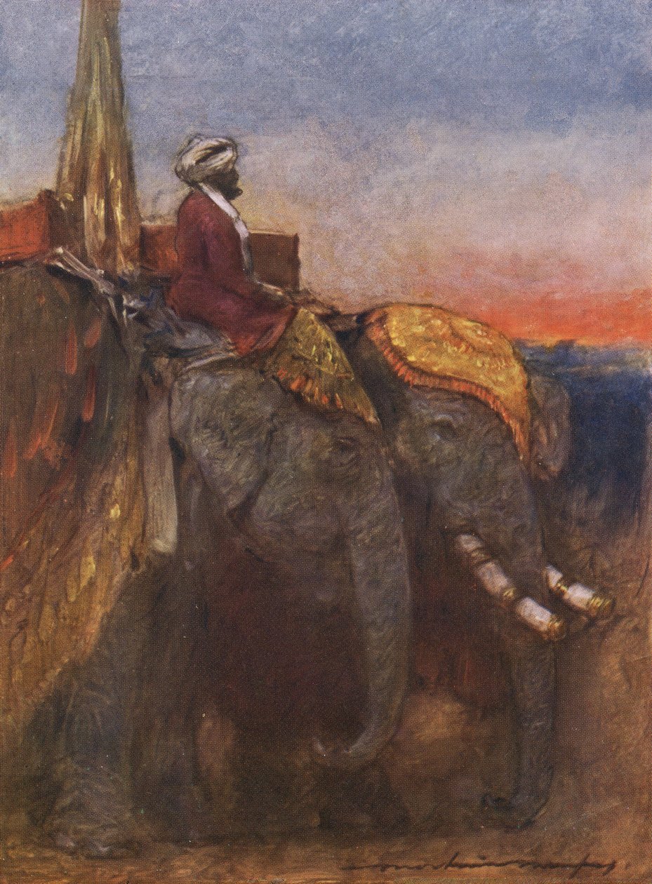Jaipur elefanter af Mortimer Ludington Menpes