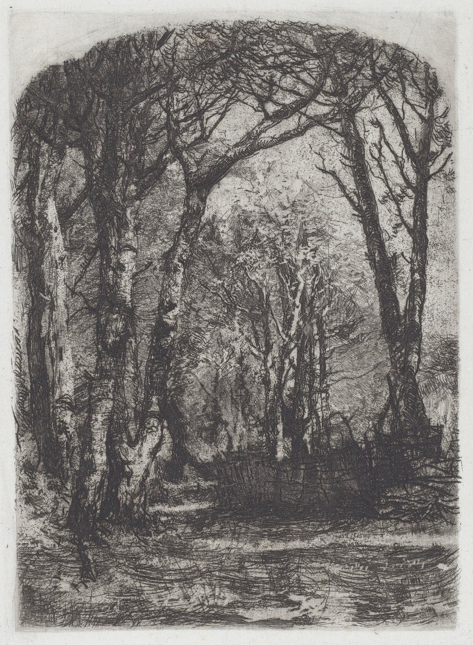Woods [Bosco] af Mose Bianchi