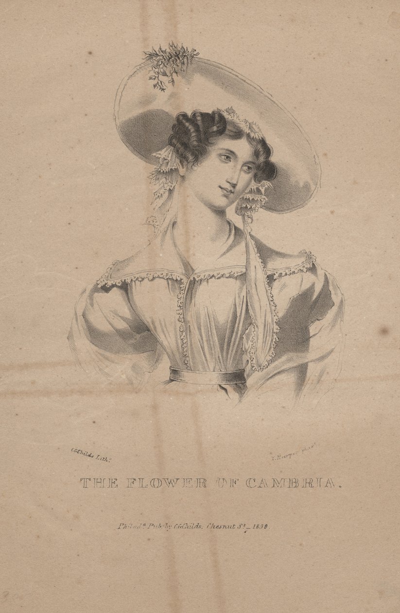The Flower of Cambria, litho af C.G. Børn, 1830 af Moses Swett