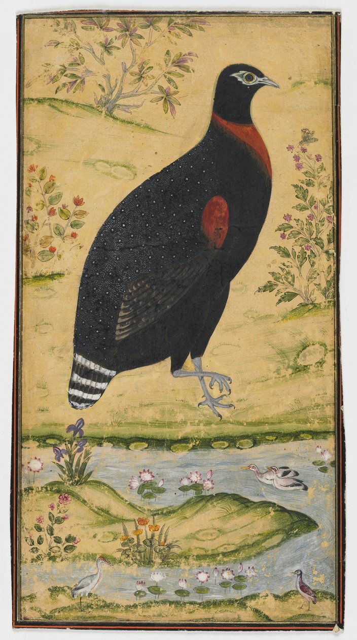 En sporhøne i et landskab, Maleri, slutningen af det 17. århundrede af Mughal School