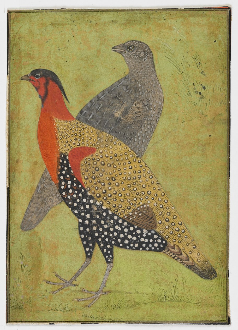 To fasaner, Maleri, begyndelsen af 1600-tallet af Mughal School