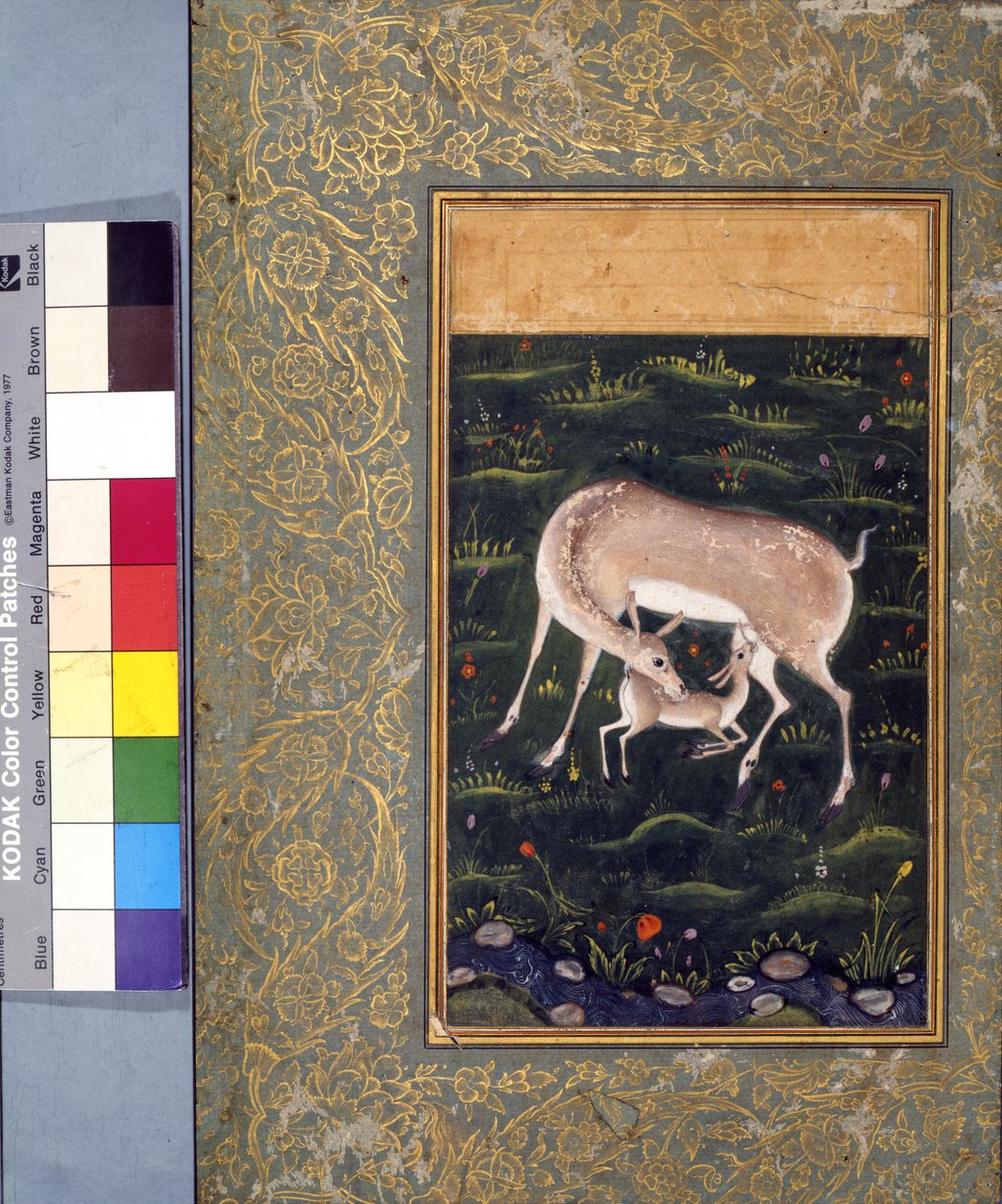 En dåe, der ammede sin fawn, ca. 1560 (ugennemsigtig akvarel og guld på papir) [se også 6040456] af Mughal School