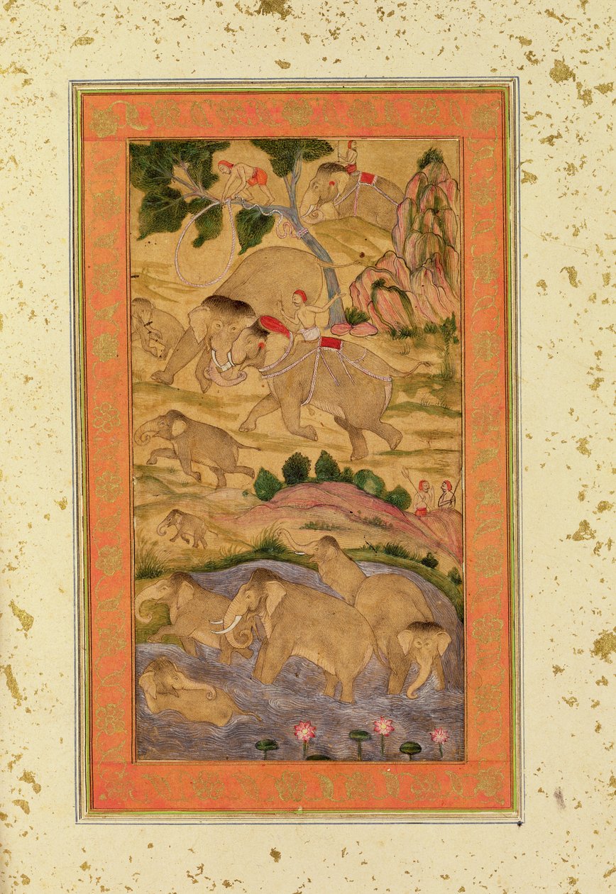 Hunters Capturing Elephants, fra Large Clive Album, ca. 1760-65 (tonet tegning på papir) af Mughal School