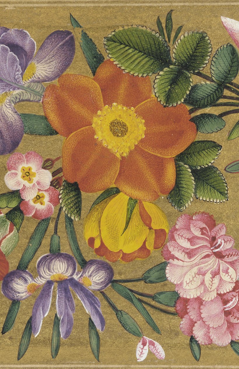 Side fra St. Petersburg Album, Indien, 1727 (farve på guldgrund) af Muhammad Sadiq