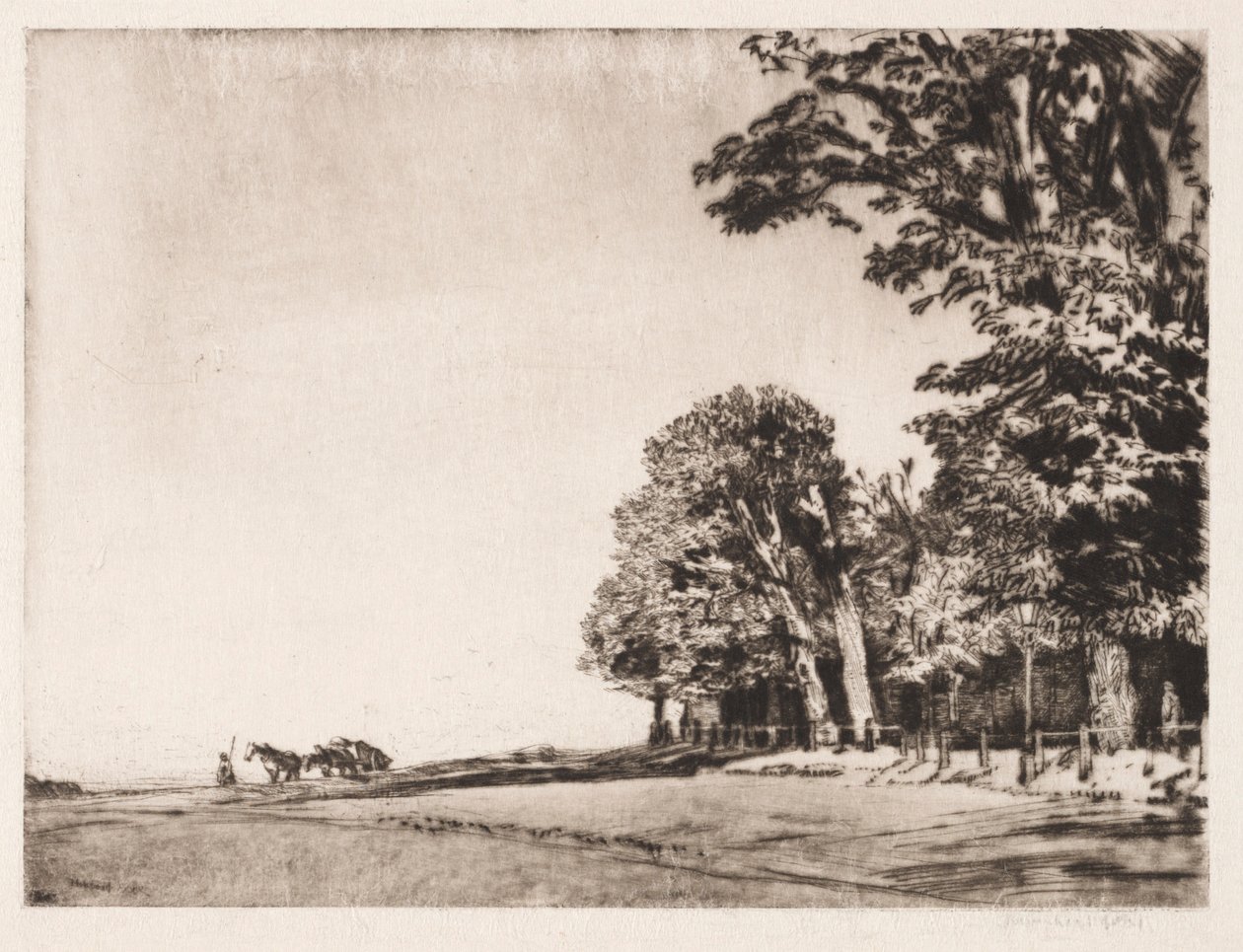 Hampstead Heath af Muirhead Bone