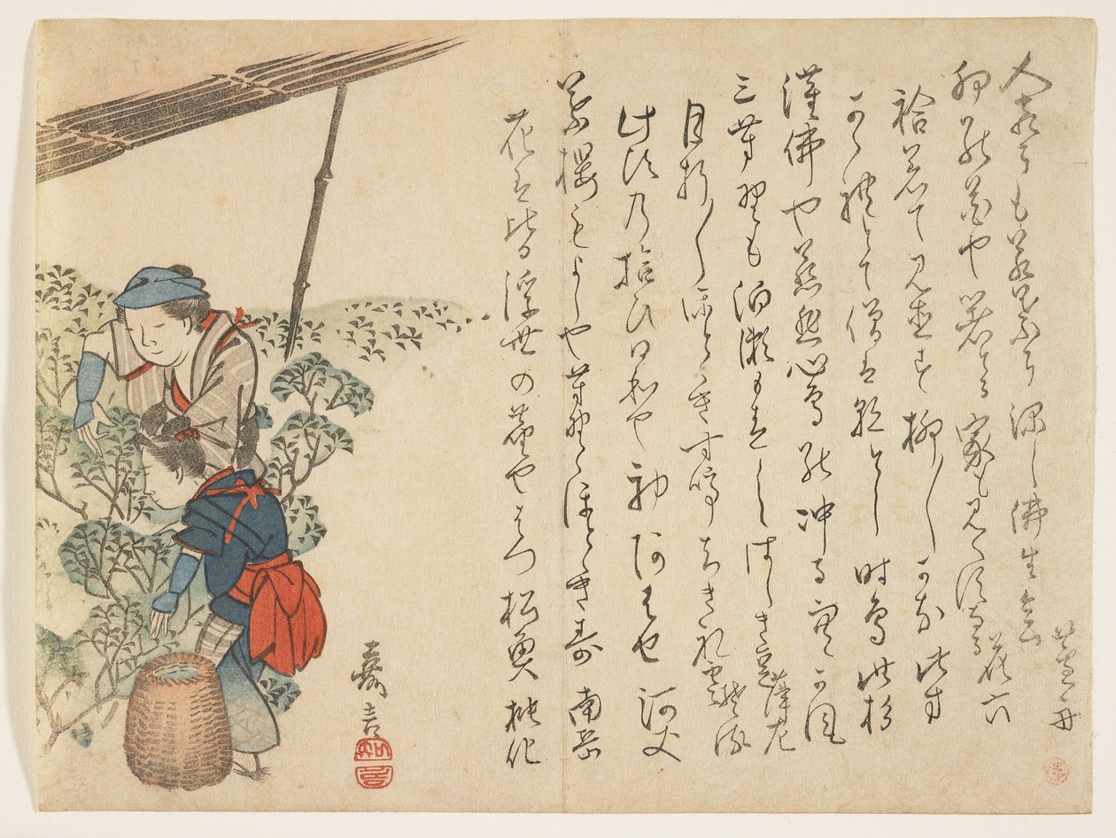 Teplukkere, ca.1830-44 (farve-træsnit) af Murata Kagen