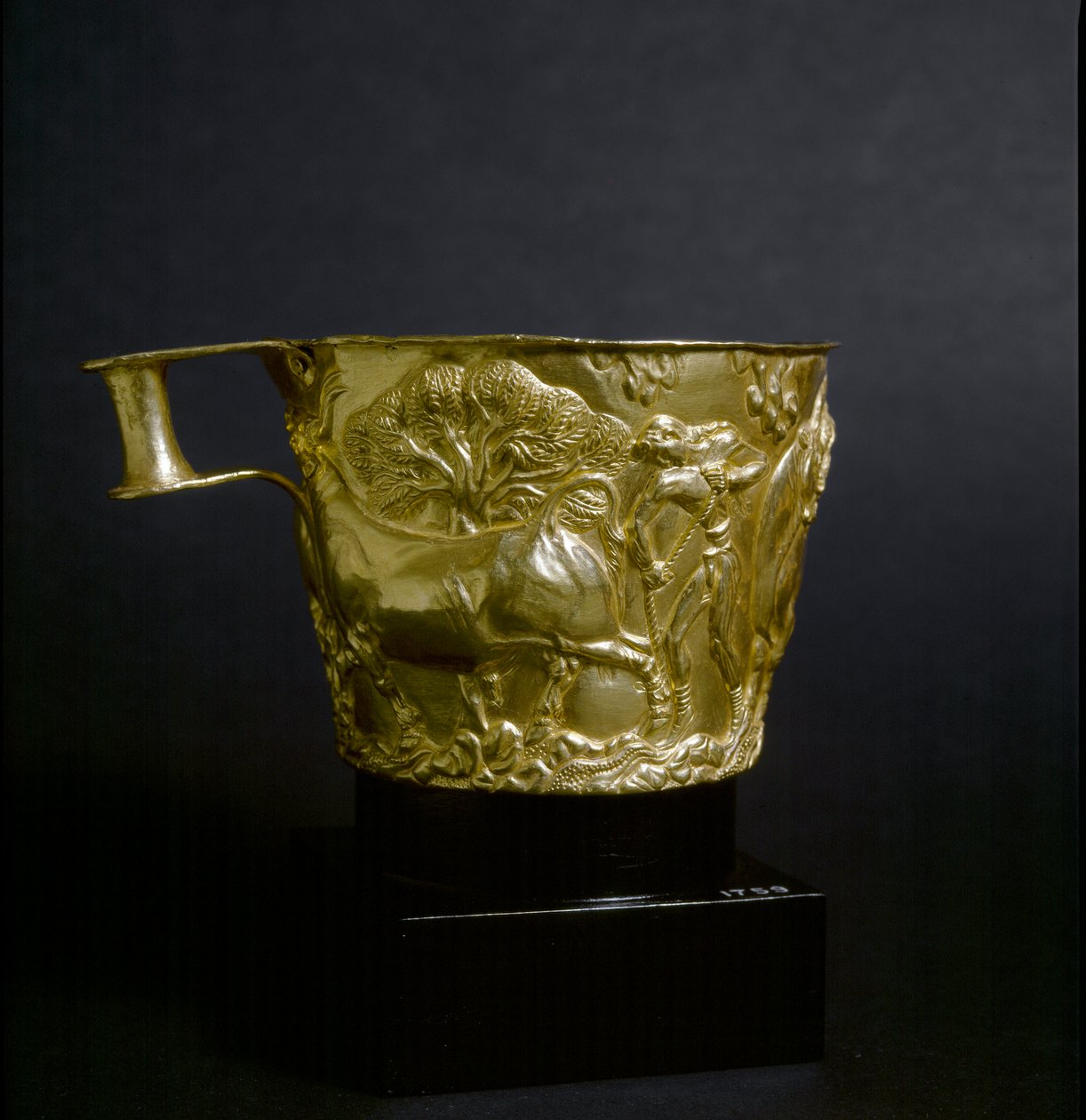 Mykensk kunst: guldbæger dekorerer en scene for fangst af en tyr. 1500 f.Kr. Fra Vapheio-stedet nær Sparta. Athen, det nationale arkæologiske museum af Mycenaean