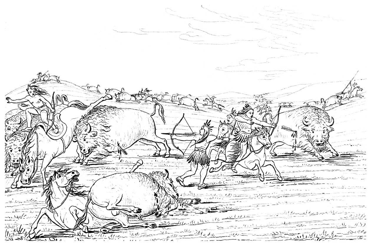 Indfødte amerikanere, der jager bøfler, 1841. af Myers and Co