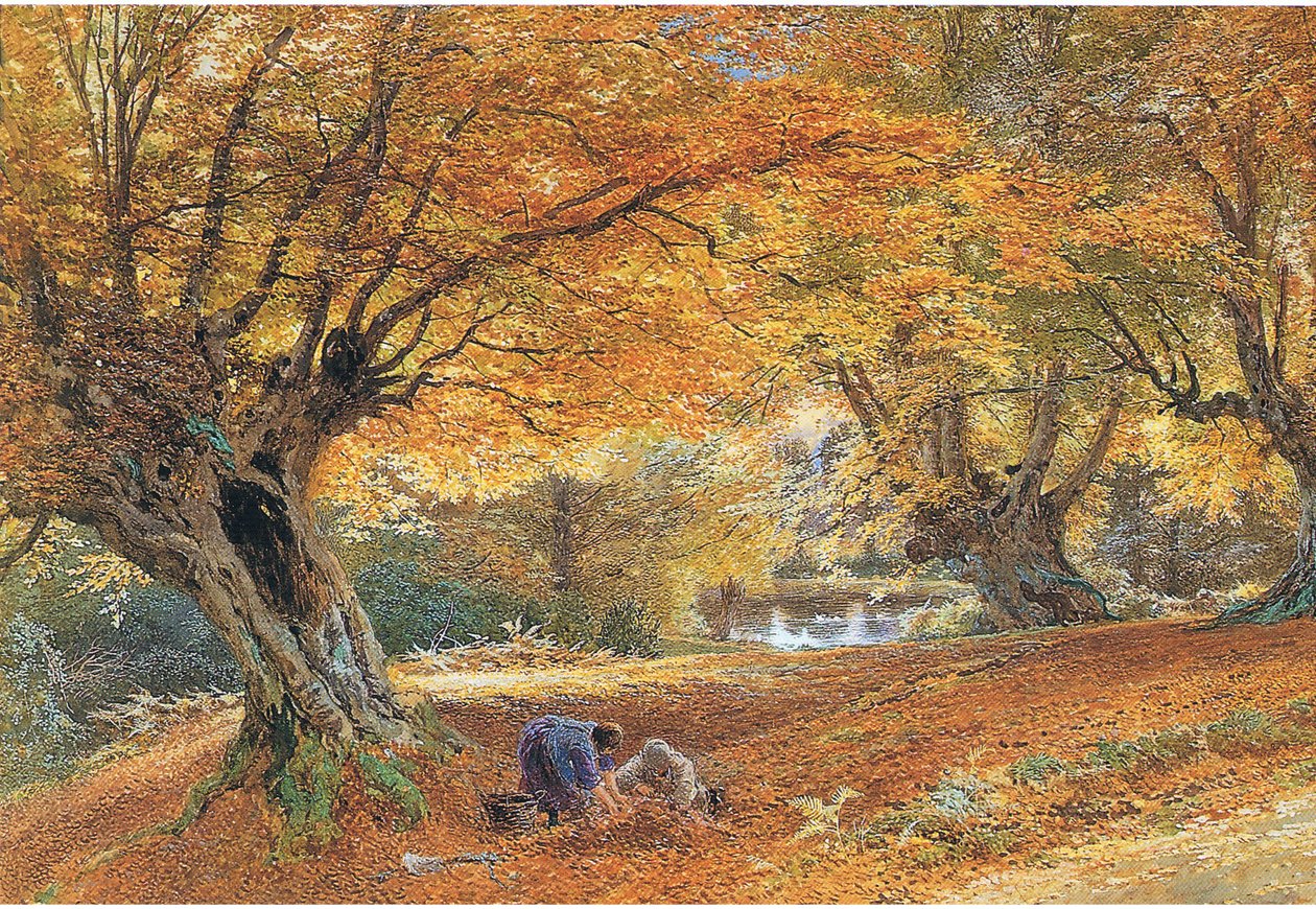 Burnham Beeches af Myles Birket Foster