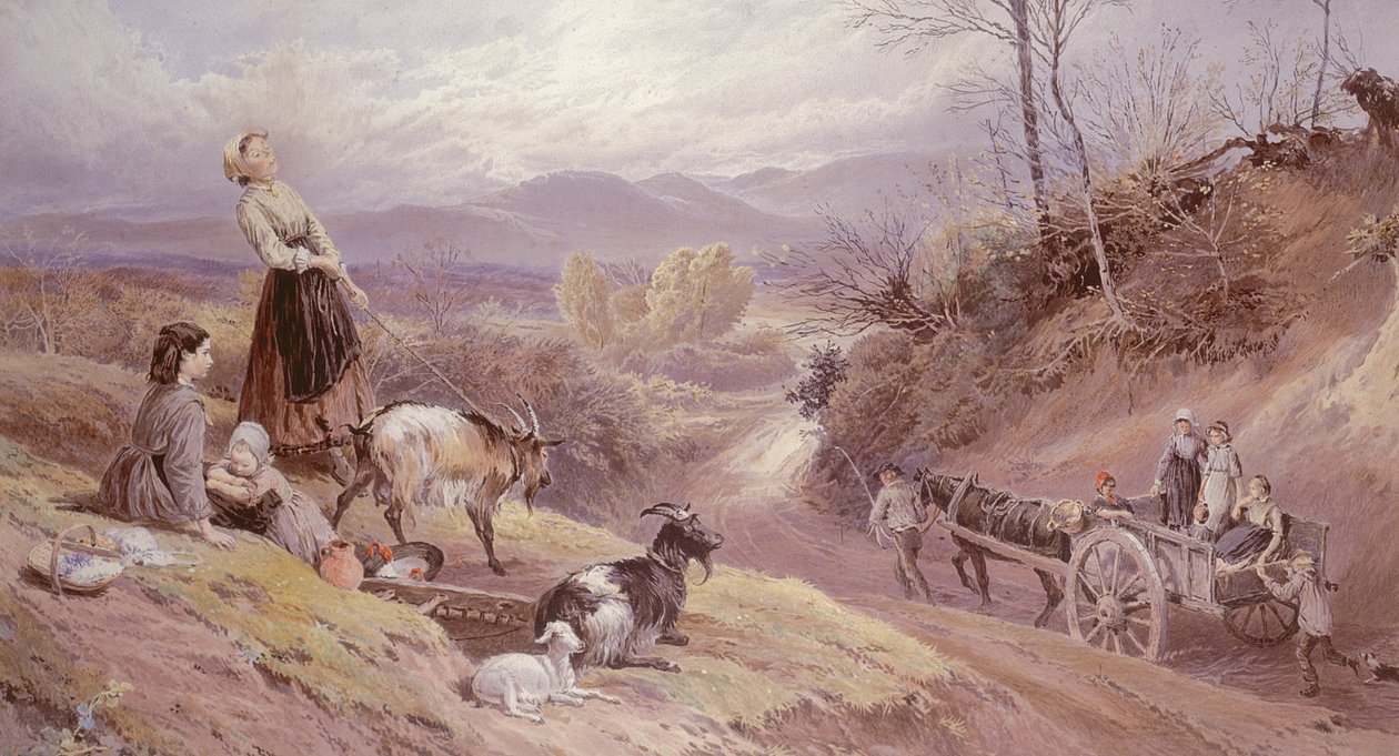 Ukendt billede af Myles Birket Foster