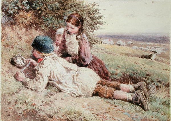 Samling af fugleæg af Myles Birket Foster