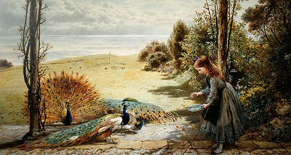 Påfugle (akvarel på papir) af Myles Birket Foster