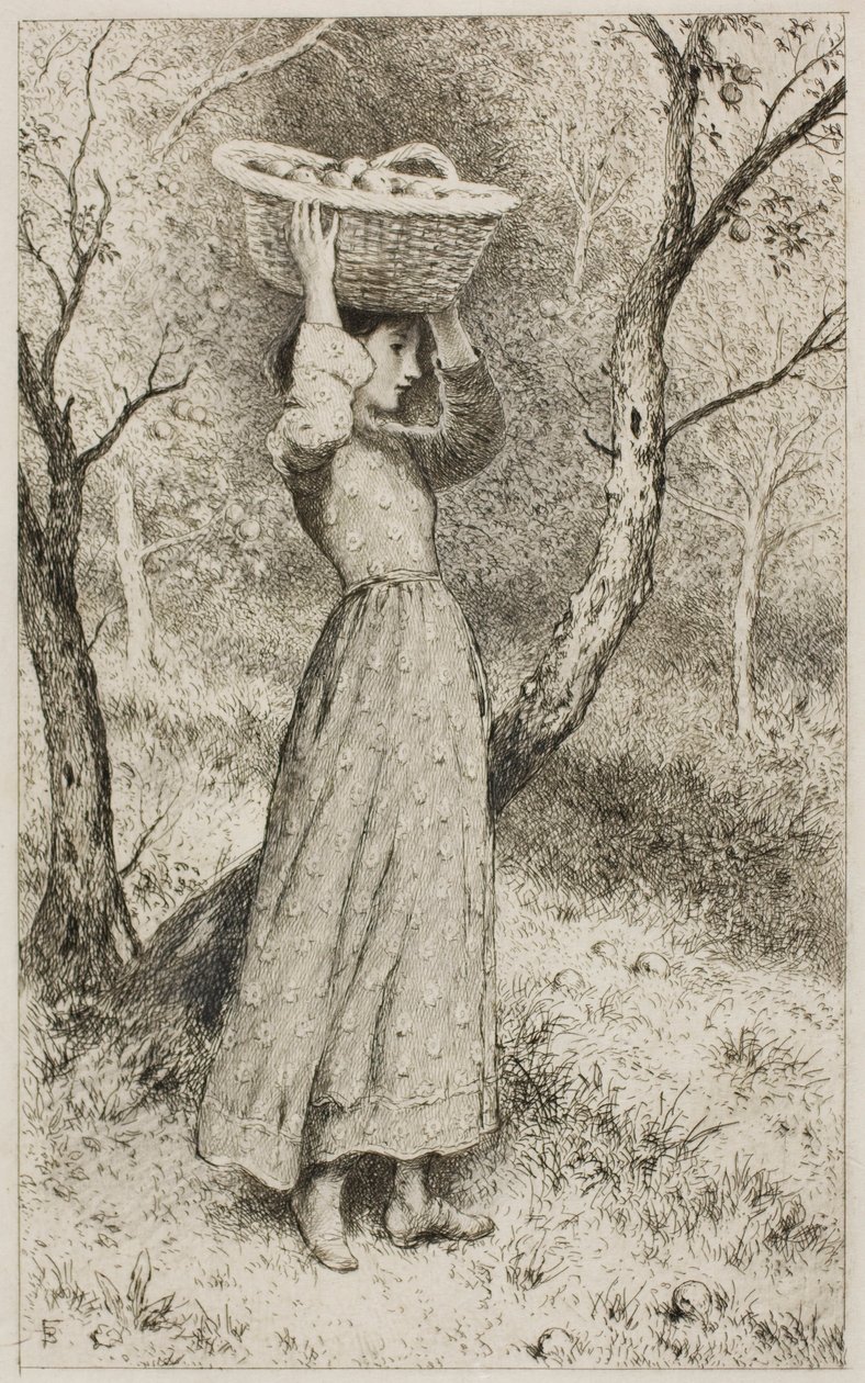Ung pige i en frugthave med en kurv med frugt af Myles Birket Foster