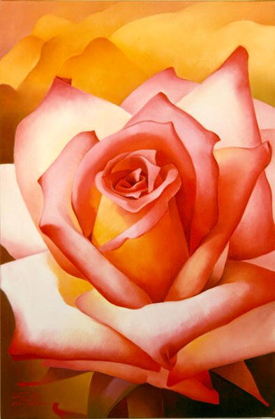 Rosen af Myung Bo Sim