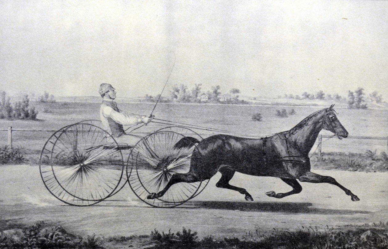 Currier & Ives Illustration 1800-tallet. Flora tempel af N. and Ives, J.M. Currier