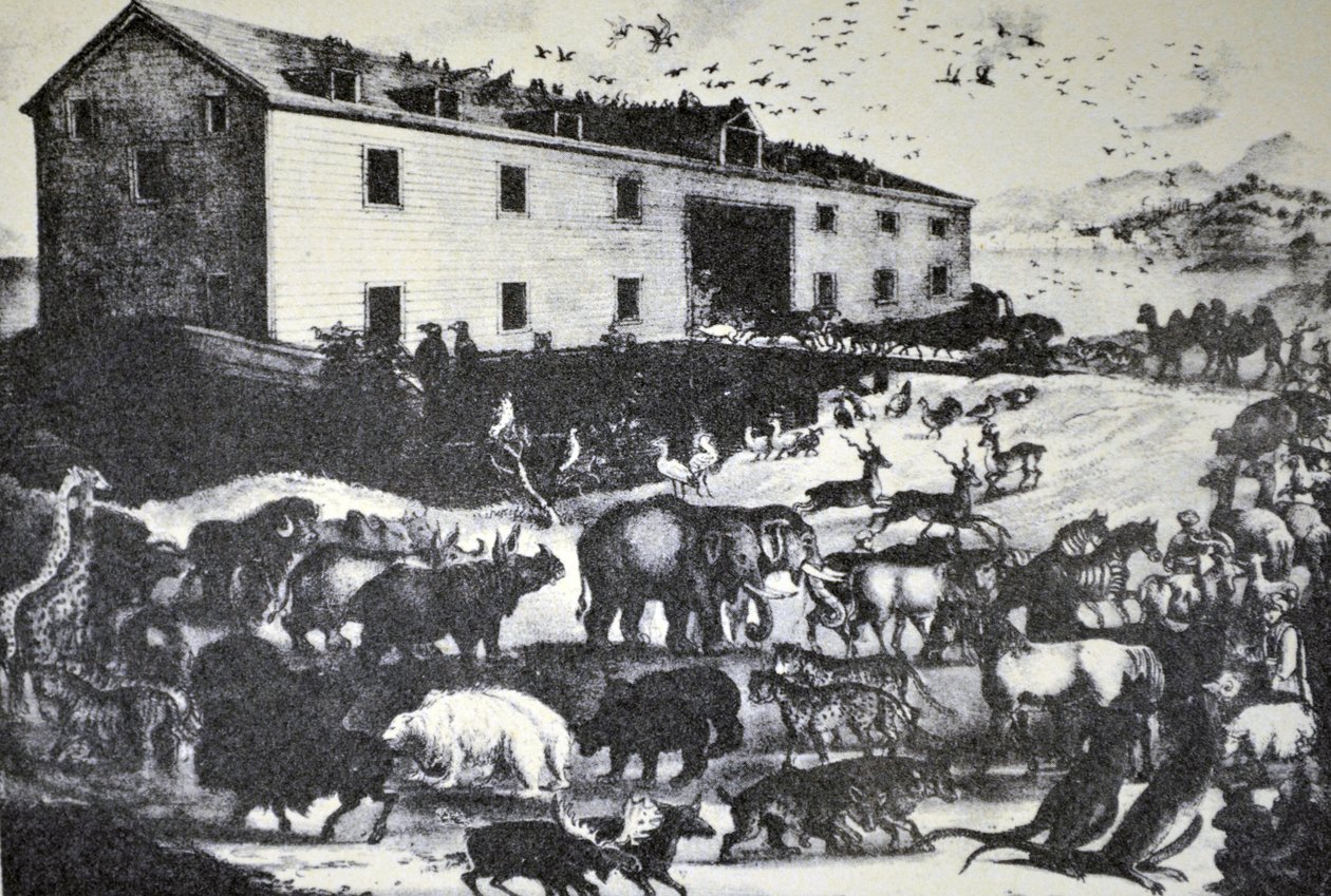 Currier & Ives Illustration 1800-tallet. Noahs ark af N. and Ives, J.M. Currier