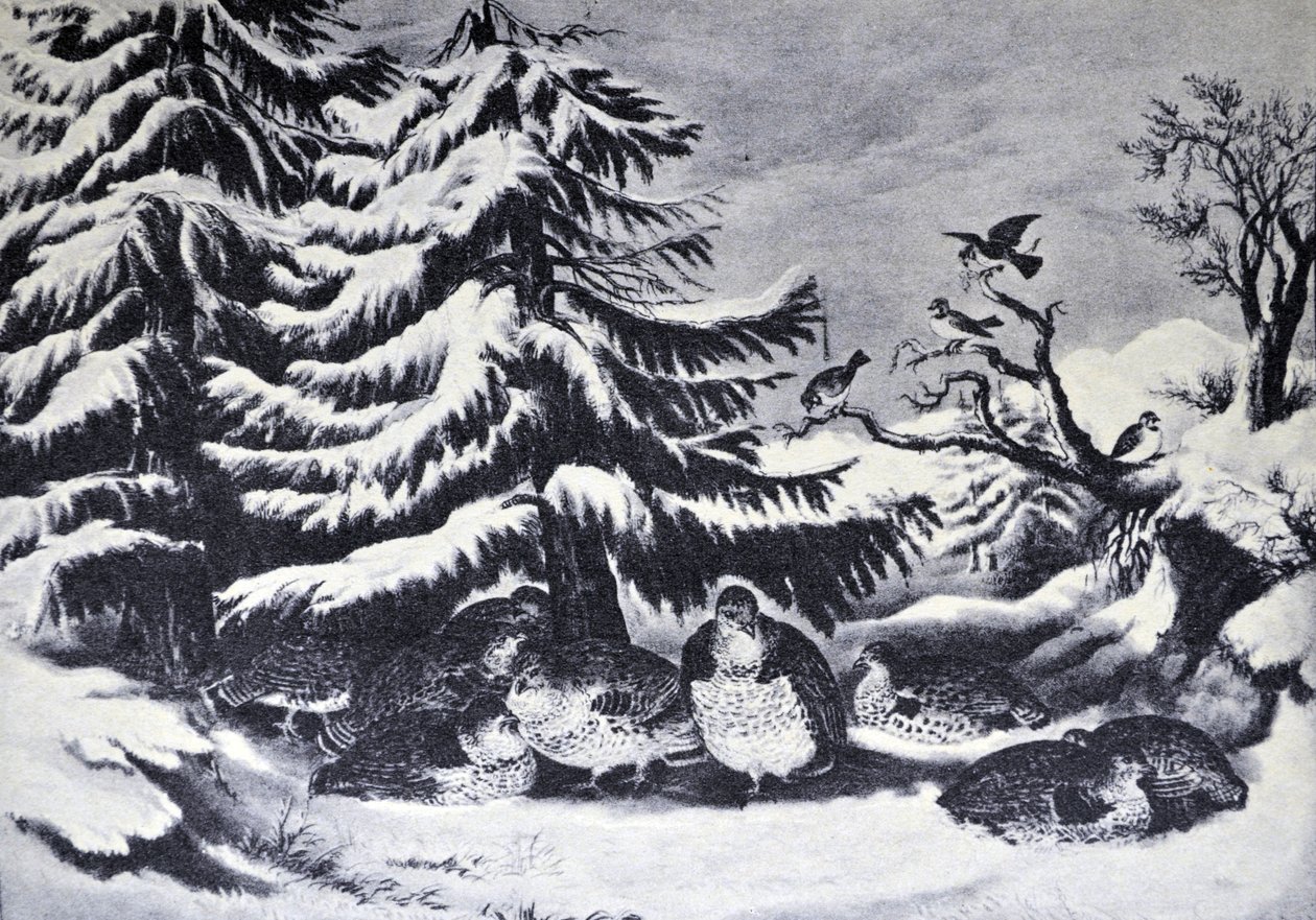 Currier & Ives Illustration 1800-tallet. Sneet op, pjusket ryper om vinteren af N. and Ives, J.M. Currier