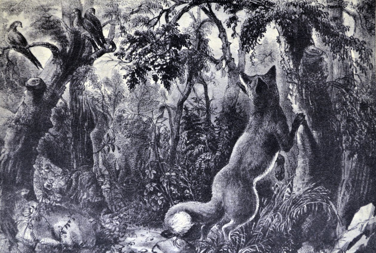 Currier & Ives Illustration 1800-tallet. Den forundrede ræv af N. and Ives, J.M. Currier