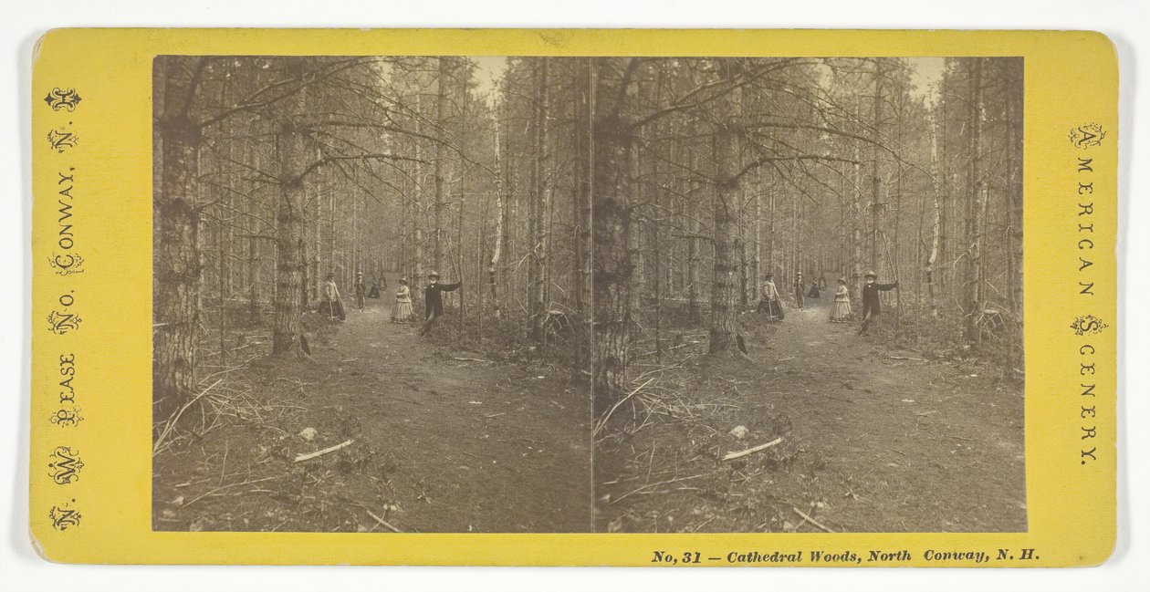 Cathedral Woods, North Conway, N.H., midten af det 19. århundrede. af N.W. Pease