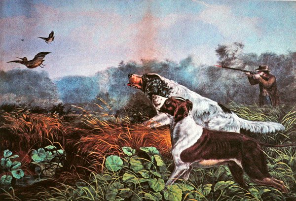 American Field Sports: En chance for begge tønder af Currier and Ives