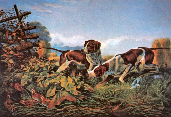 Amerikansk feltsport: On a Point af Currier and Ives