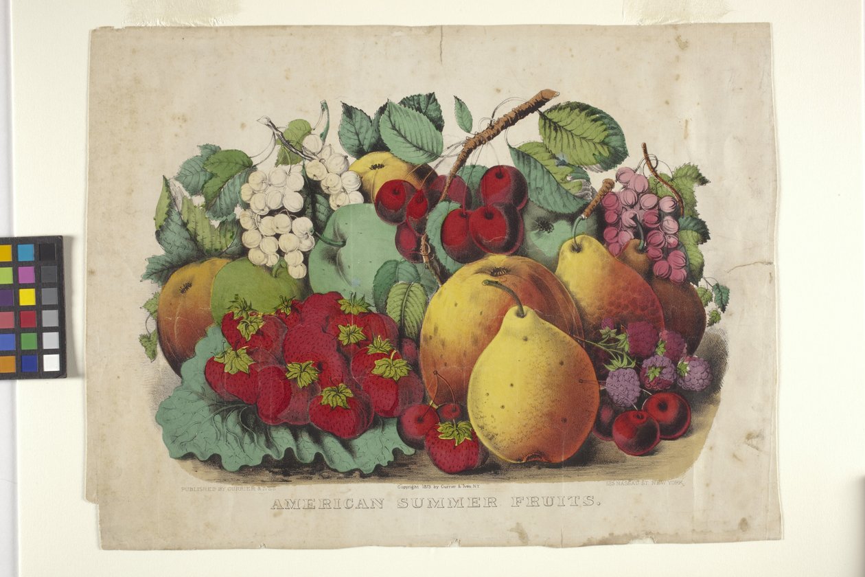 American Summer Fruit (håndfarvet litografi) af N. and Ives J.M. (1824 95) Currier