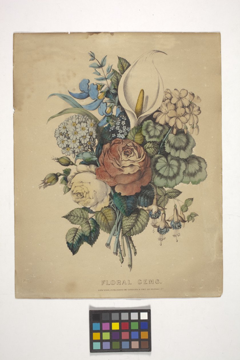Blomstersten (håndfarvet litografi) af N. and Ives J.M. (1824 95) Currier