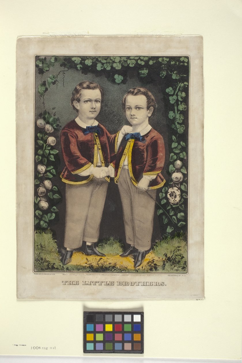 Little Brothers (håndkoloreret litografi) af N. and Ives J.M. (1824 95) Currier
