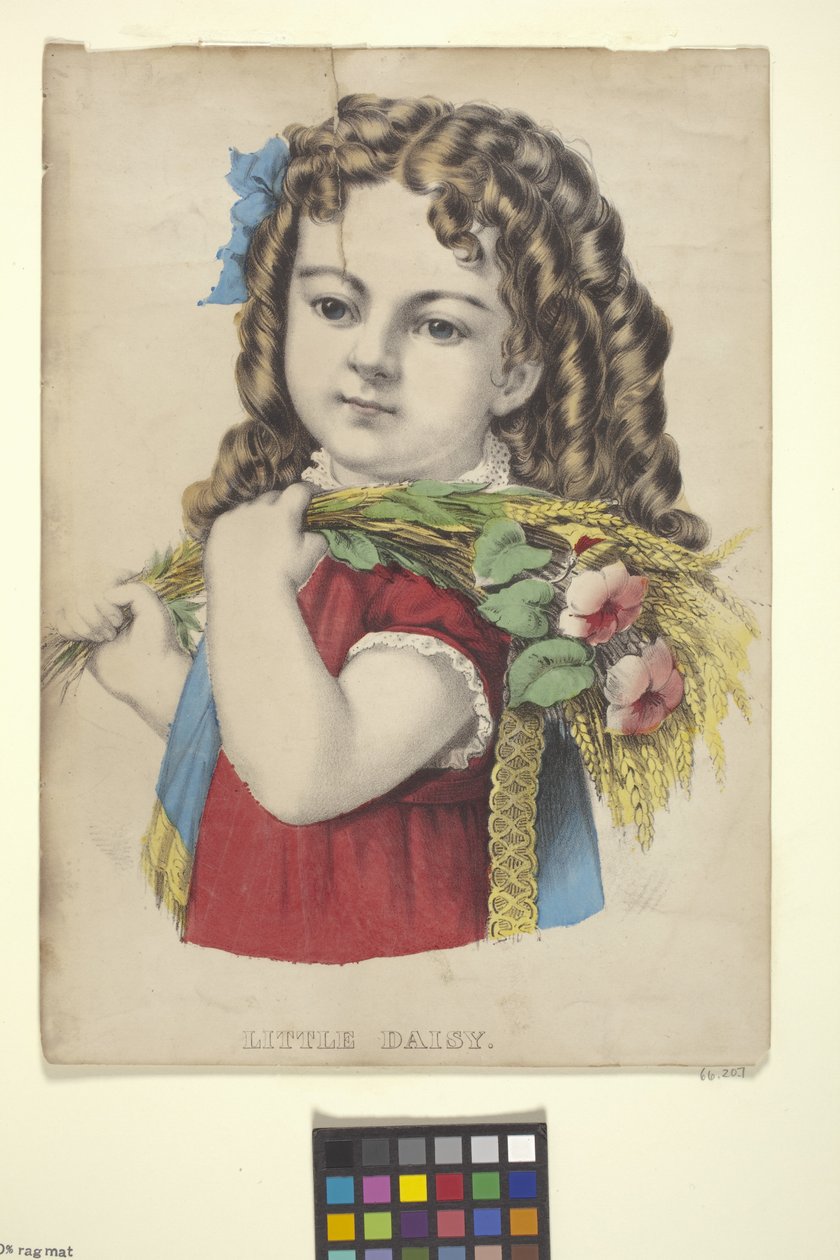 Lille Daisy (håndfarvet litografi) af N. and Ives J.M. (1824 95) Currier