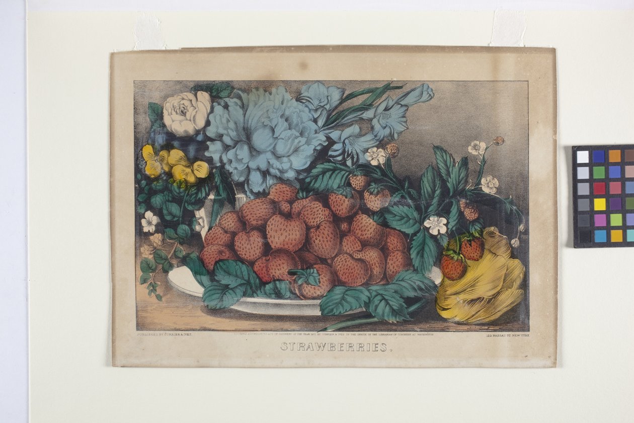 Jordbær (håndfarvet litografi) af N. and Ives J.M. (1824 95) Currier