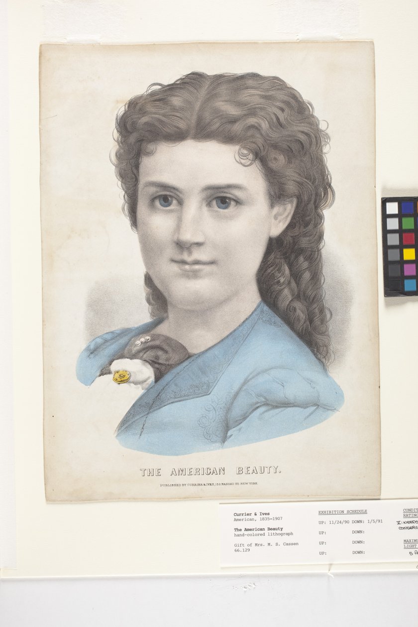 The American Beauty (håndfarvet litografi) af N. and Ives J.M. (1824 95) Currier
