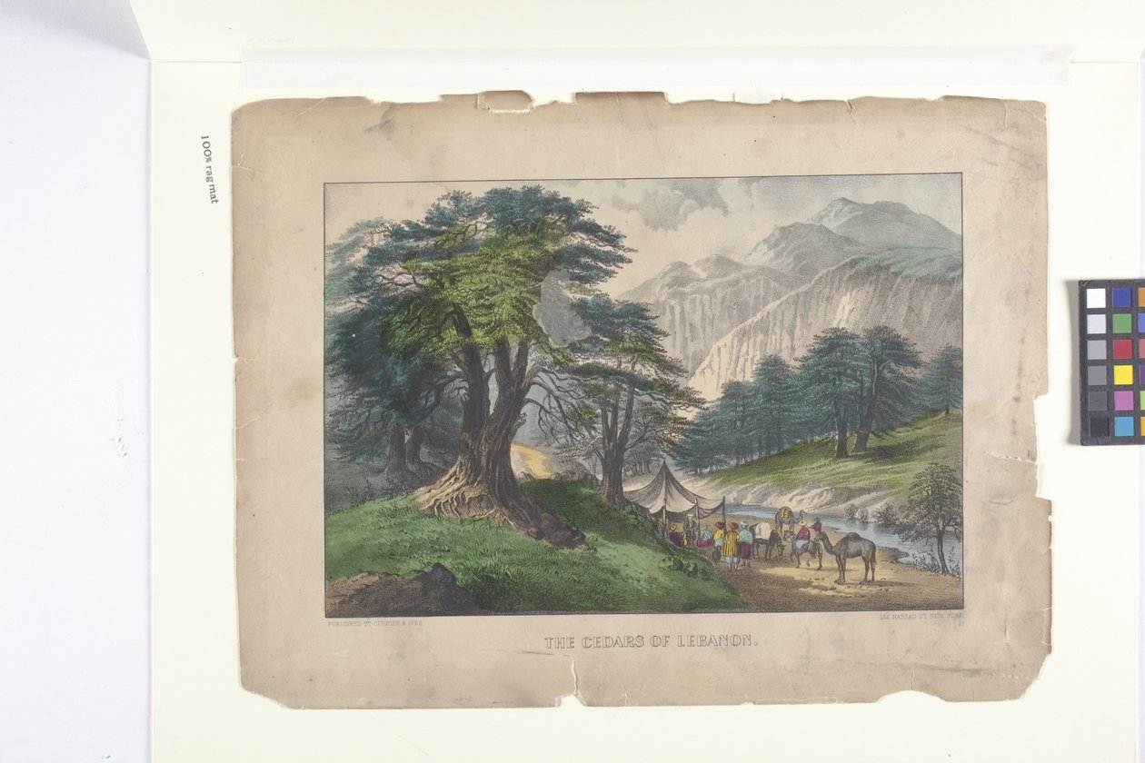 The Cedars Of Libanon (håndfarvet litografi) af N. and Ives J.M. (1824 95) Currier