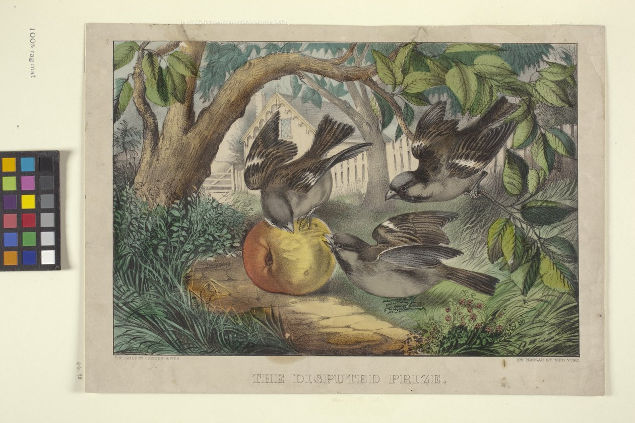 Den omstridte pris (håndfarvet litograf) af N. and Ives J.M. (1824 95) Currier