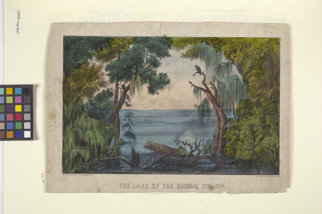 Søen af den dystre sump (håndfarvet litografi) af N. and Ives J.M. (1824 95) Currier