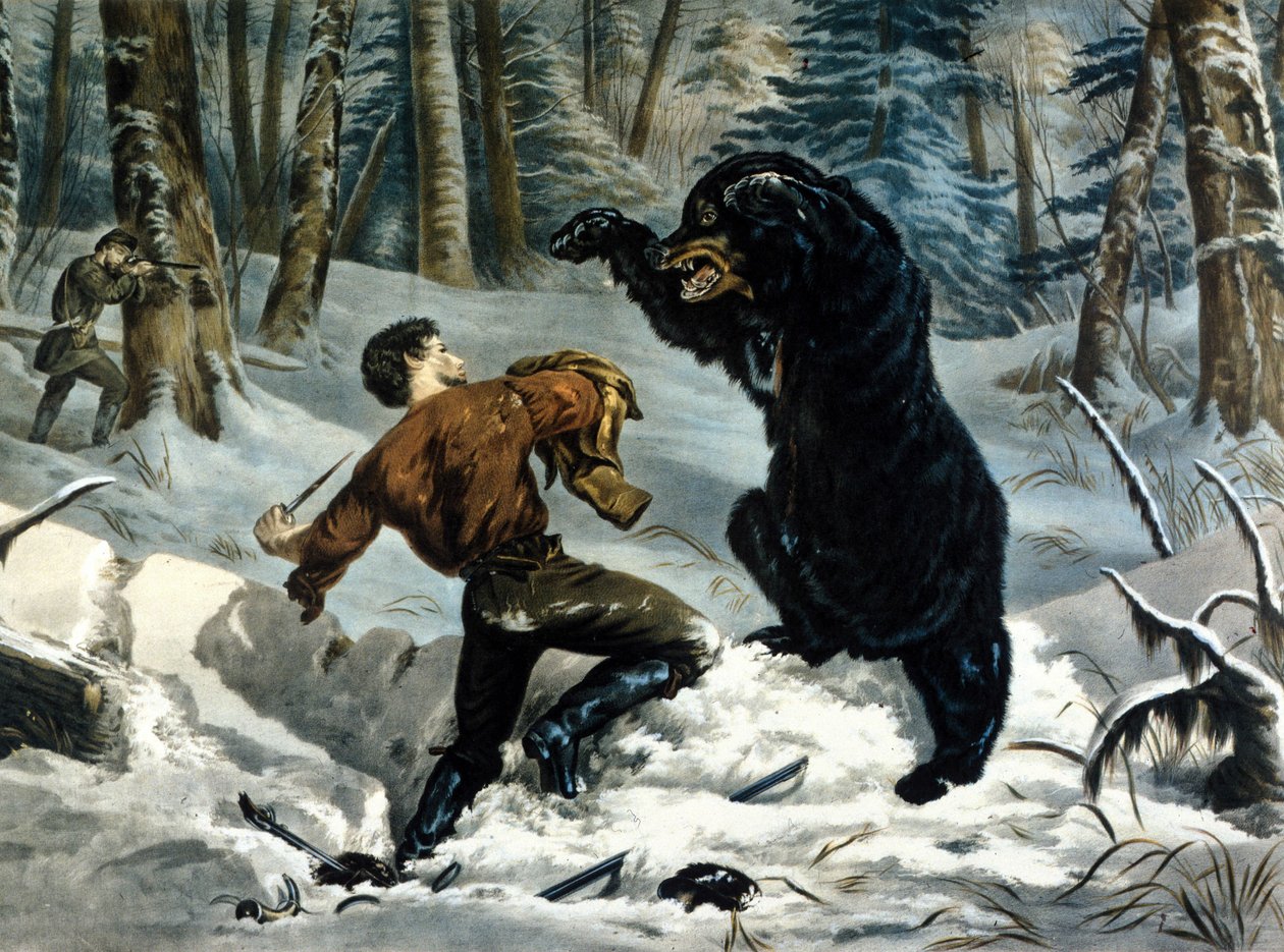 The Life of Trappers (Professional Hunters) i Canada: En jæger bliver angrebet af en Grizzlybjørn. Illustration af Yves og Currier. af Currier and Ives