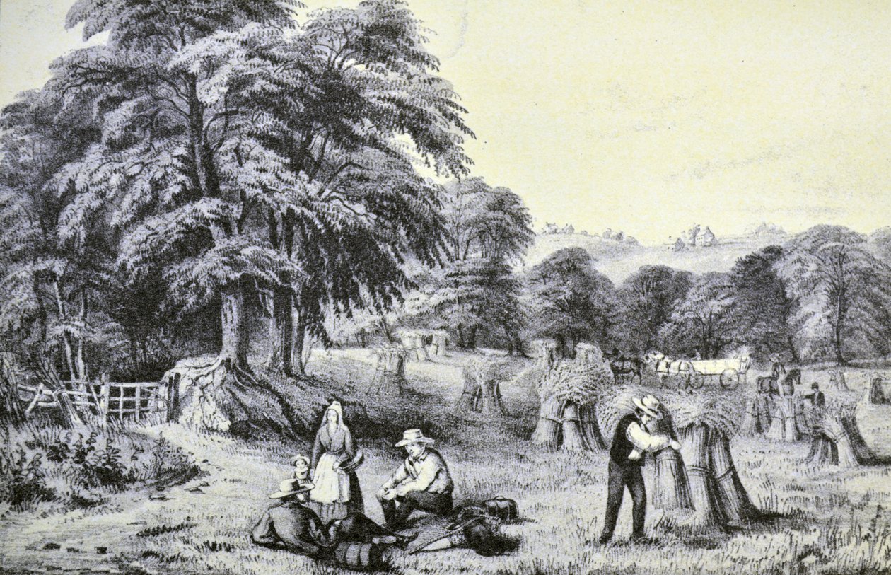 Currier & Ives Illustration 1800-tallet. Høst af N. and Ives, J.M. Currier