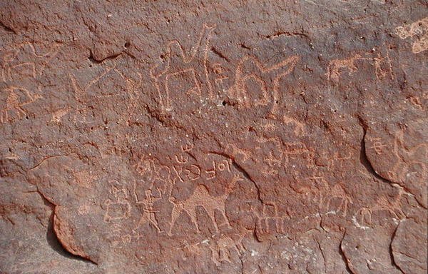 Helleristninger fra siden af en klippe (klippemaleri) af Nabatean