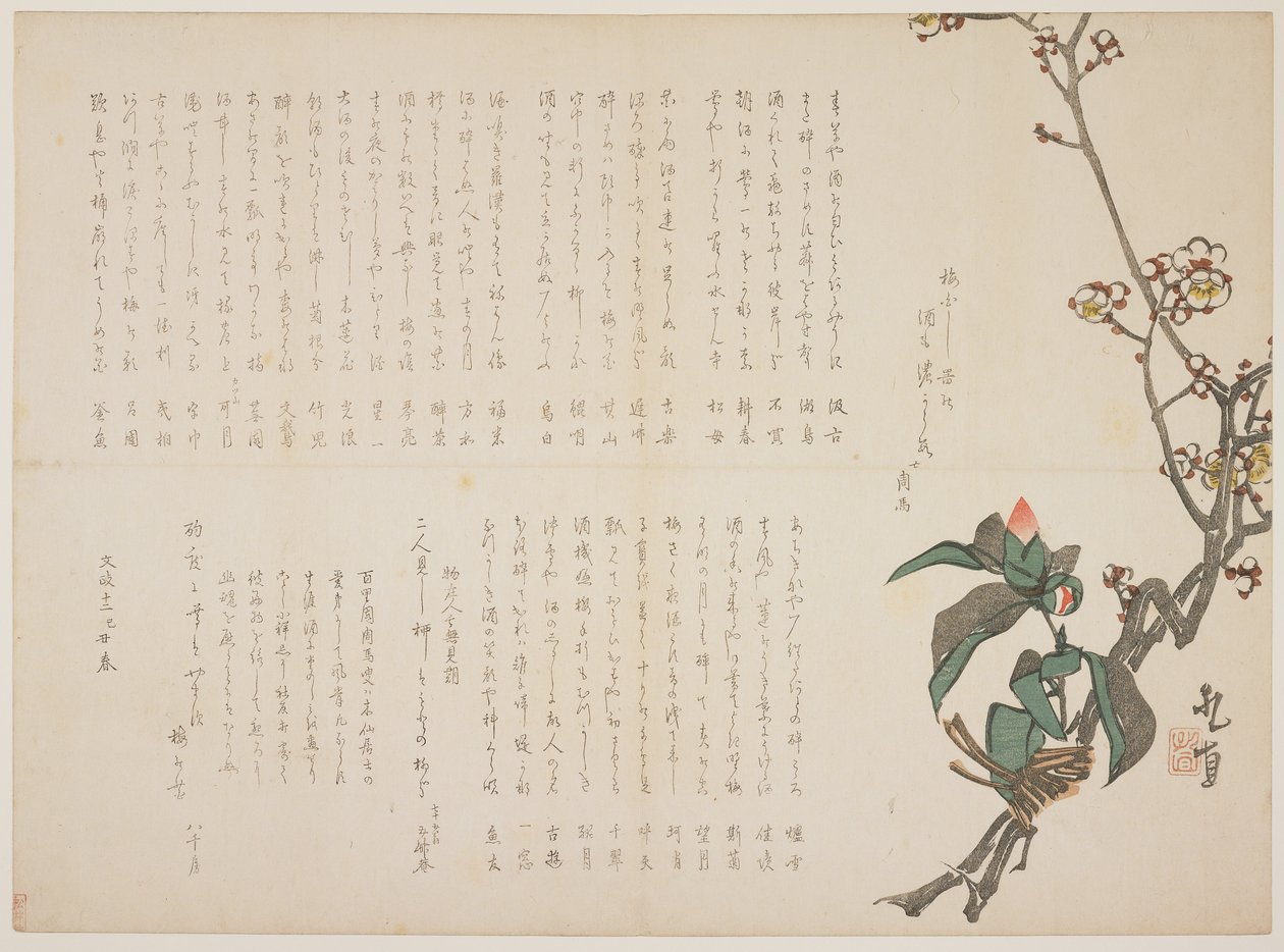 Blomme- og kameliagrene, 1829 (træblok i farver) af Nagayama Kchoku