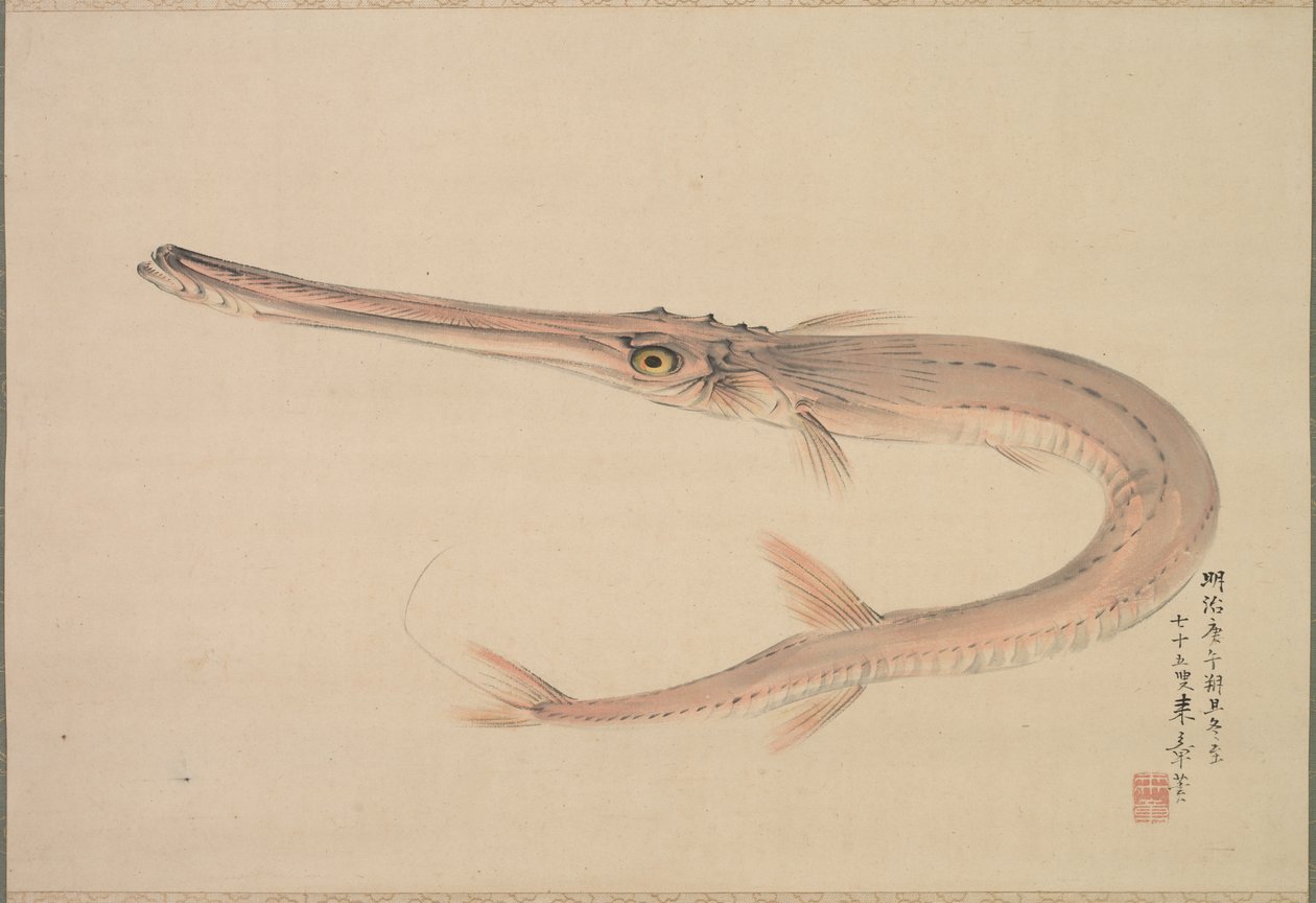 Nålefisk (altid) af Nakajima Raishō