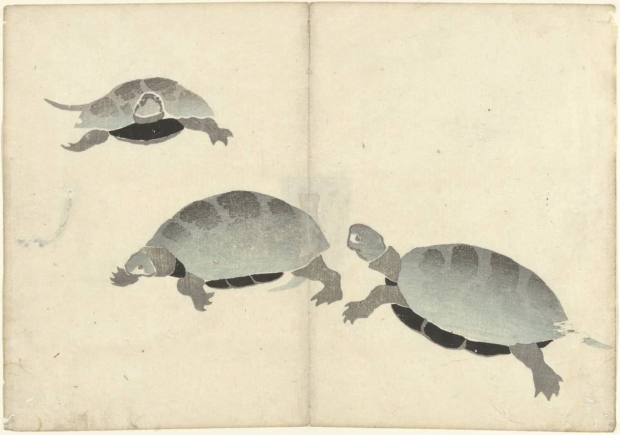 Tre skildpadder Billedalbum af Korin (serietitel) Korin gafu (serietitel) af Nakamura Hochu