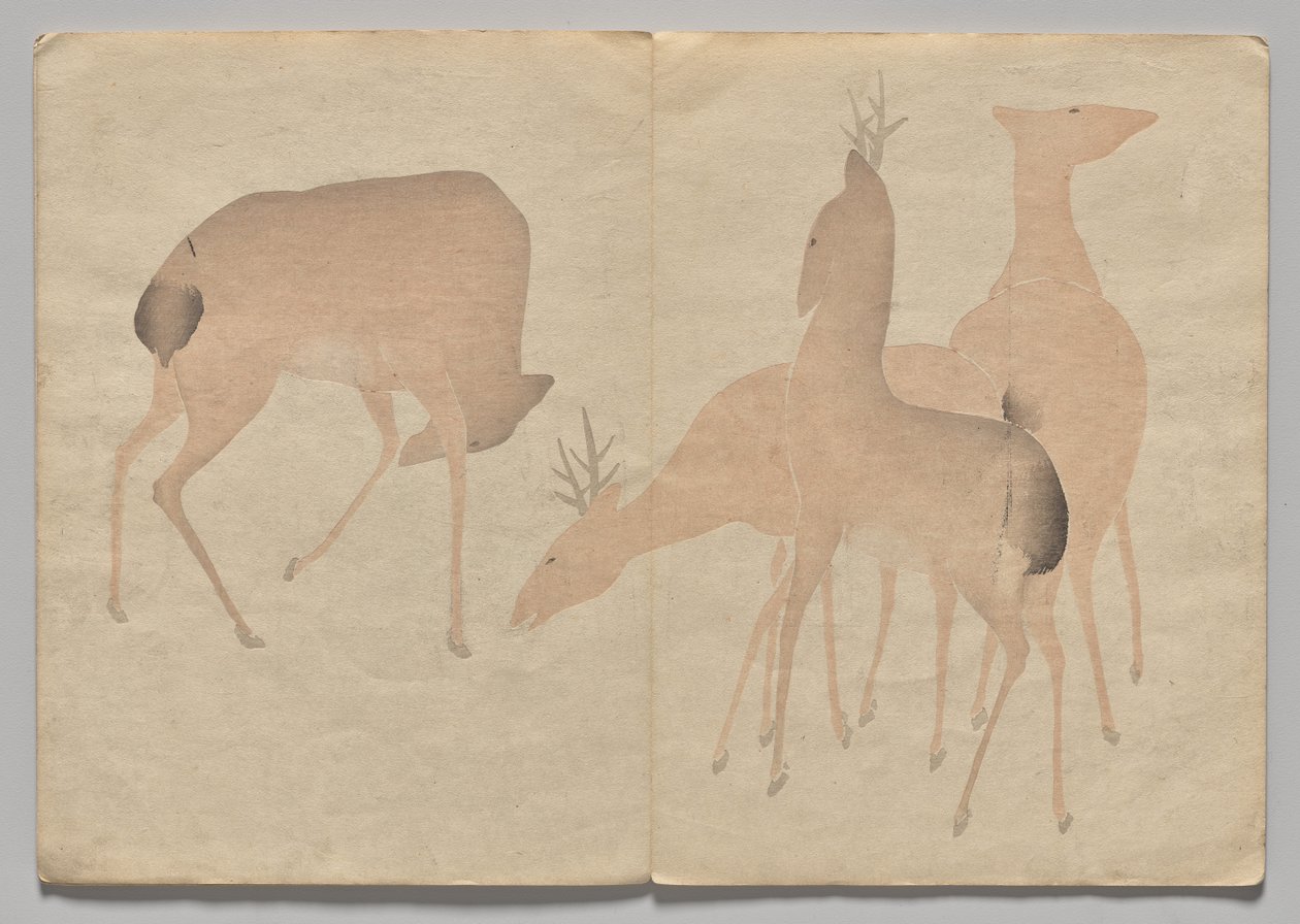 Scene fra The Kōrin Picture Book (bind 1) af Nakamura Hochu