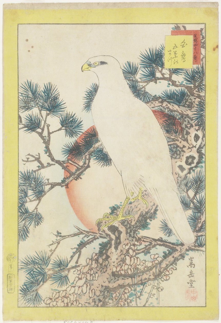 nr. 1, hvid falk og femnålet fyrretræ, 1859 (farvet træbloktryk) af Nakayama Sugakudo